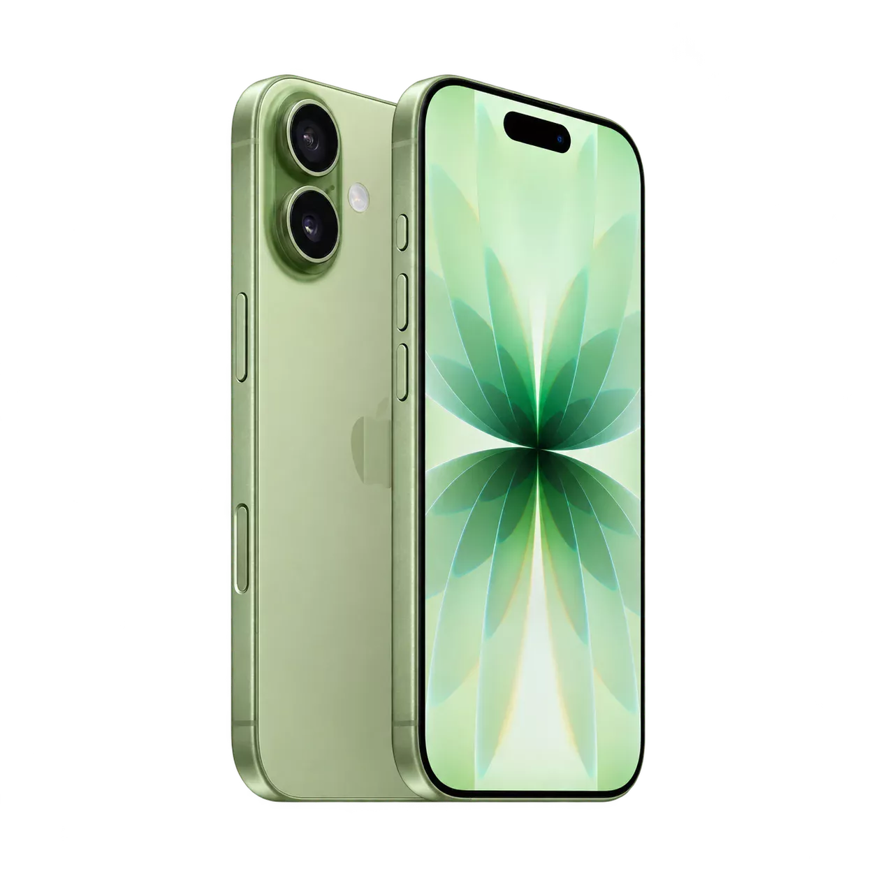 iPhone 17 256Gb Sage Sim + eSim (без RuStore)